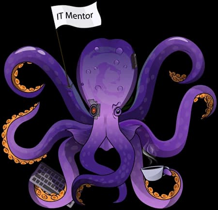IT Mentor - Осьминог символ компании, онлайн курсы